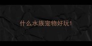 什么水族宠物好玩