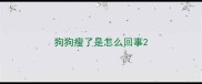 狗狗瘦了是怎么回事