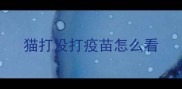 猫打没打疫苗怎么看