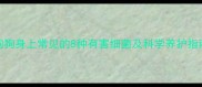 狗狗身上常见的8种有害细菌及科学养护指南