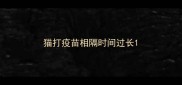 猫打疫苗相隔时间过长