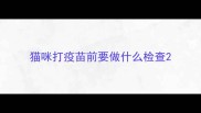 猫咪打疫苗前要做什么检查