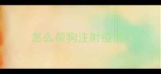 怎么帮狗注射疫苗
