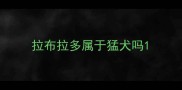 拉布拉多属于猛犬吗