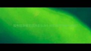 拉布拉多睡觉尿床怎么办科学应对方法与深度