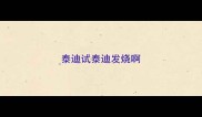 泰迪试泰迪发烧啊
