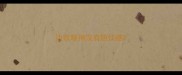 边牧眼神没有胆怯感