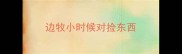 边牧小时候对捡东西