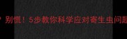 狗狗身上长虫子了别慌5步教你科学应对寄生虫问题附驱虫全攻略