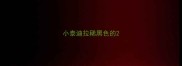 小泰迪拉稀黑色的