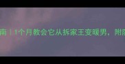 哈士奇护主指南1个月教会它从拆家王变暖男附防咬训练全攻略