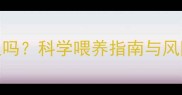 哈士奇幼犬能吃成犬粮吗科学喂养指南与风险提示附过渡方案