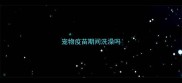 宠物疫苗期间洗澡吗