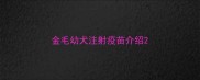 金毛幼犬注射疫苗介绍