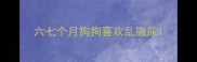 六七个月狗狗喜欢乱撒尿