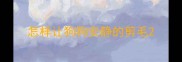 怎样让狗狗安静的剪毛