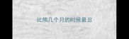 比熊几个月的时候最丑