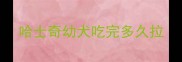 哈士奇幼犬吃完多久拉