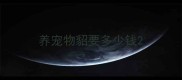 养宠物貂要多少钱
