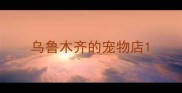 乌鲁木齐的宠物店