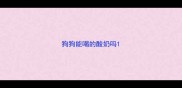 狗狗能喝的酸奶吗