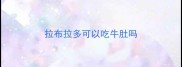 拉布拉多可以吃牛肚吗