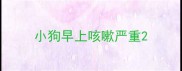 小狗早上咳嗽严重