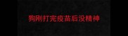 狗刚打完疫苗后没精神