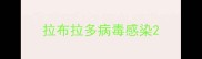 拉布拉多病毒感染