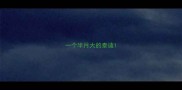 一个半月大的泰迪