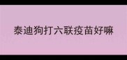 泰迪狗打六联疫苗好嘛