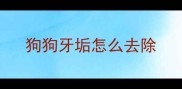 狗狗牙垢怎么去除