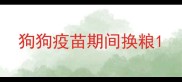 狗狗疫苗期间换粮