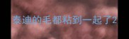 泰迪的毛都粘到一起了