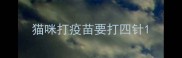 猫咪打疫苗要打四针