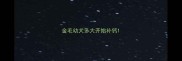 金毛幼犬多大开始补钙