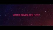 宠物店给狗驱虫多少钱