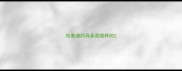 纯泰迪的耳朵是啥样的