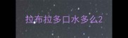 拉布拉多口水多么