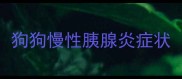 狗狗慢性胰腺炎症状