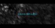 拉布拉多大便怎么表示