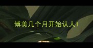 博美几个月开始认人