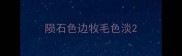 陨石色边牧毛色淡