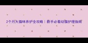 2个月大猫咪养护全攻略新手必看幼猫护理指南
