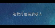 边牧打疫苗后咬人