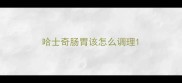 哈士奇肠胃该怎么调理
