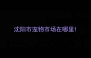沈阳市宠物市场在哪里