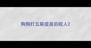 狗狗打五联疫苗后咬人