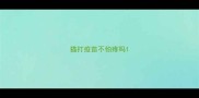 猫打疫苗不怕疼吗