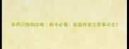 养两只狗狗攻略新手必看家庭养宠注意事项全